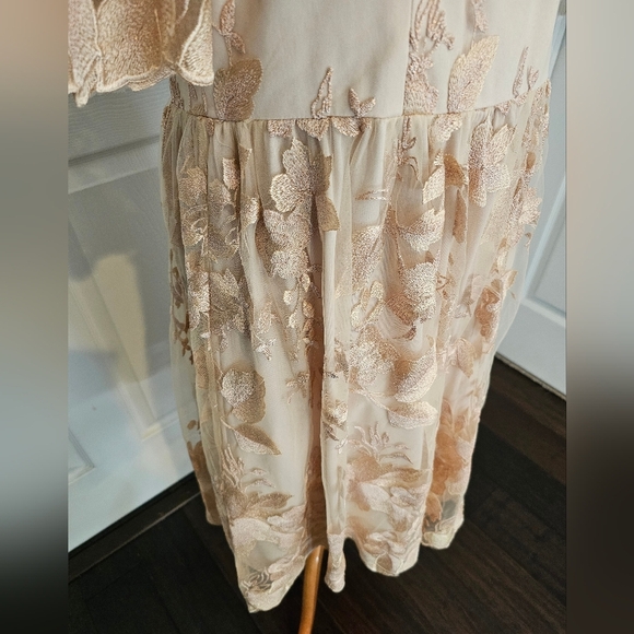Adrianna Papell Size 12 Blush gold mesh embroidered short illusion dress New Tag - Picture 10 of 14